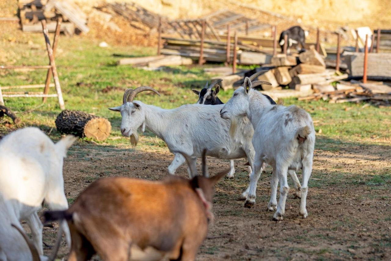 Agriturismo Cascina Trevo Spotorno Ngoại thất bức ảnh